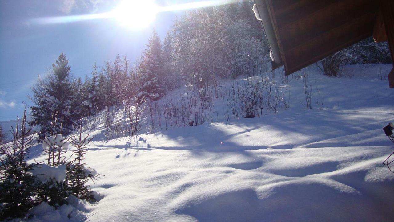 Chalet Miravidi, Montchavin-La Plagne, Jacuzzi & Sauna Экстерьер фото